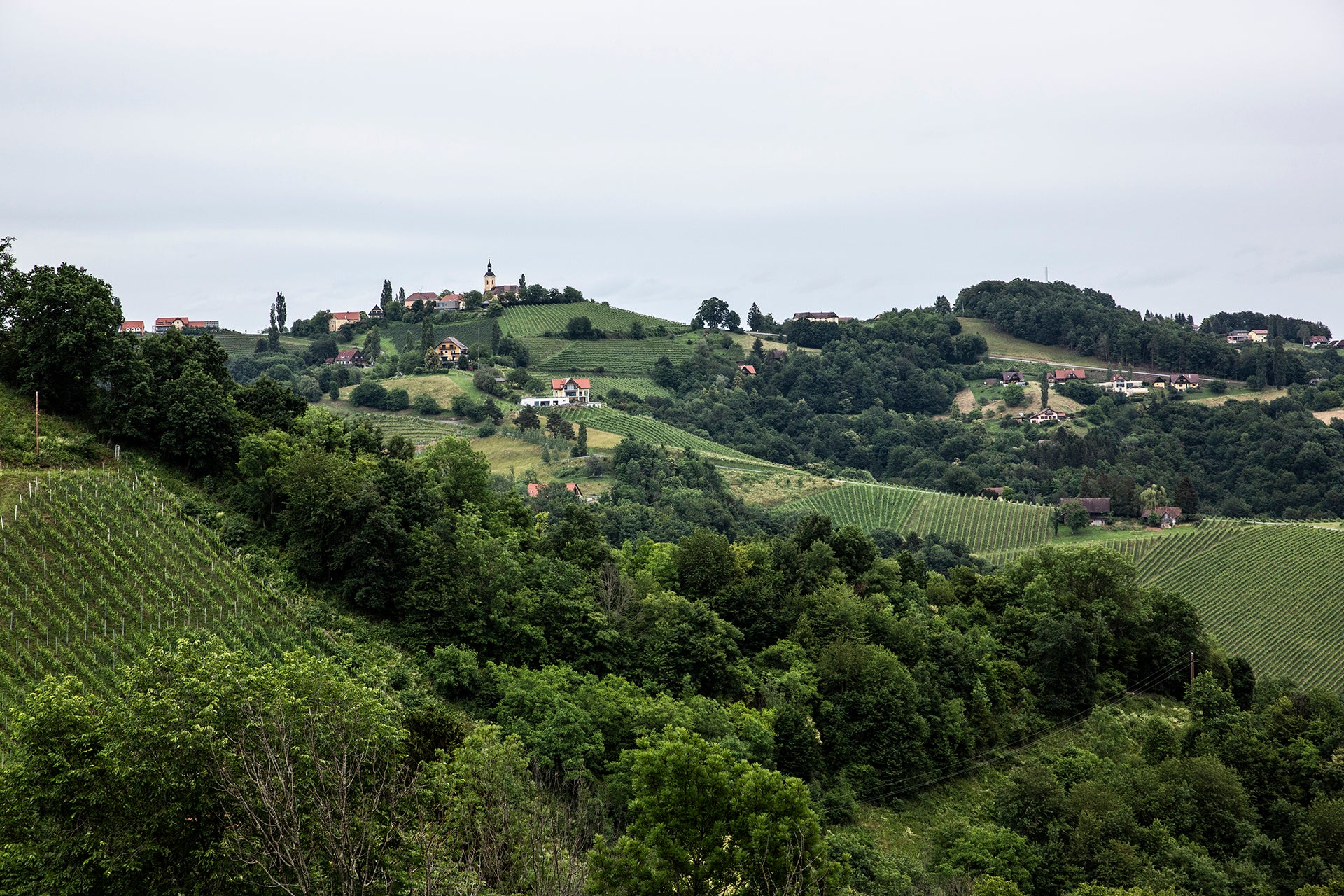 Südsteiermark