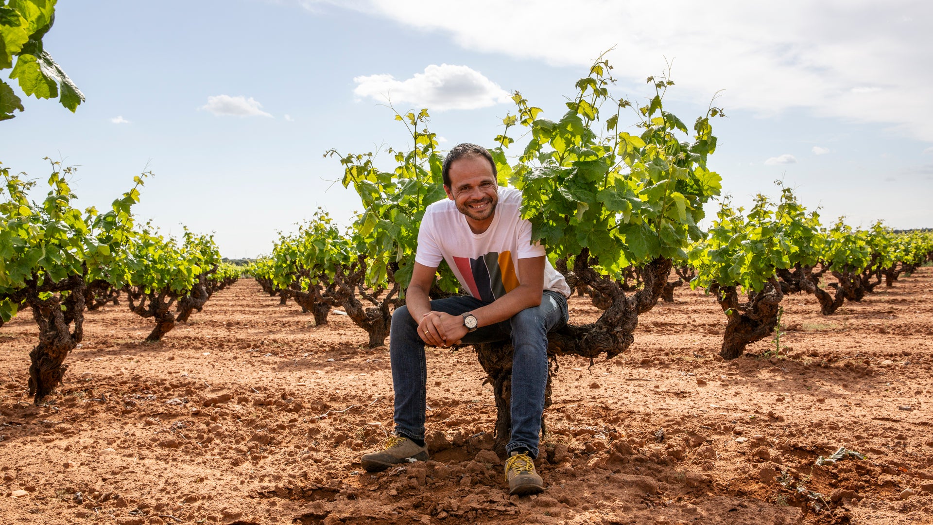 Juan Antonio Ponce sitzt in einer alten Weinrebe, wie in einem Stuhl, in seinem Weinberg.