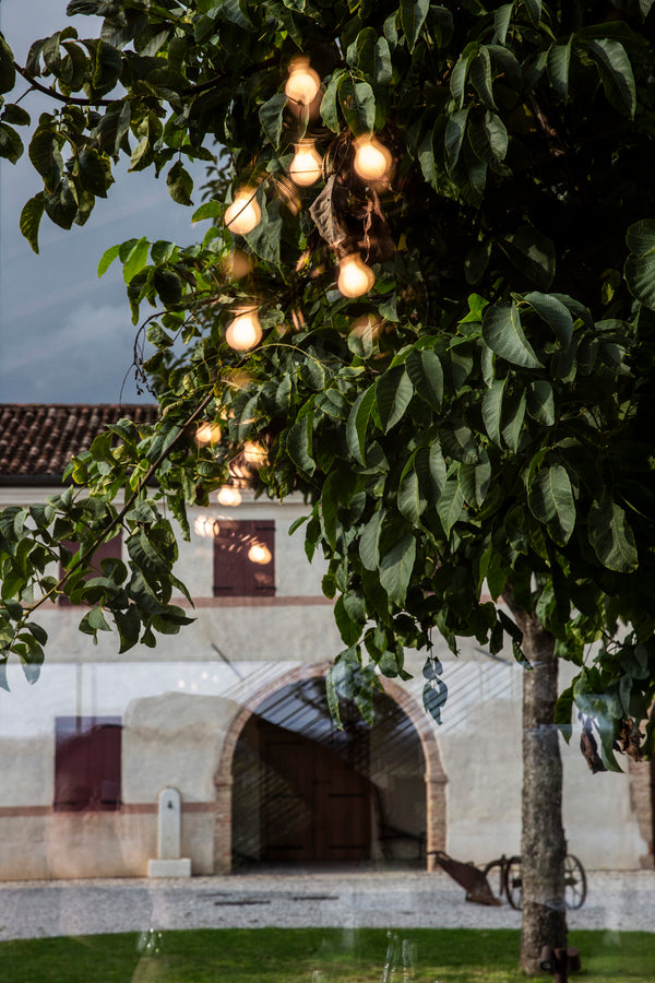 Foto der Spiegelung einer Lichterkette, auf einem Fenster im Verkostungsraum von Case Paolin mit Durchblick auf die schönen alten Lagerräume und einen Baum im  Vordergrund