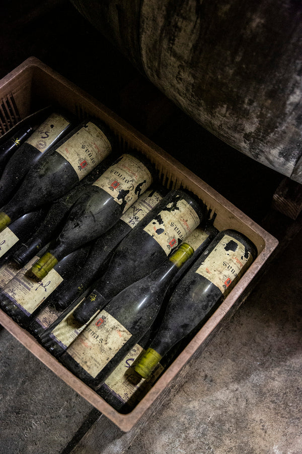 Aufnahme einer braunen Plastikkiste in der sehr alte Flaschen Cornas vom Weingut Domaine Alain Voge aufgestapelt sind.