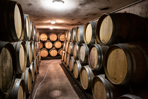 Blick in den Holzfasskeller der Domaine Alain Voge.