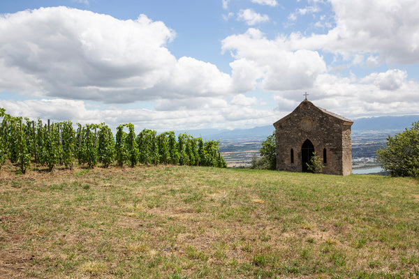 Ein Weinberg der Domaine Alain Voge neben dem eine kleine Steinkapelle steht unter blauem HImmel mit weißen Wolken.
