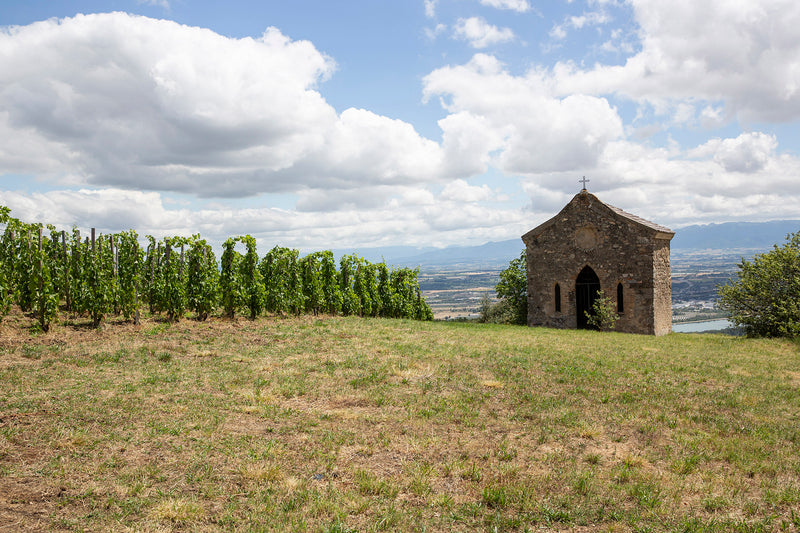 Ein Weinberg der Domaine Alain Voge neben dem eine kleine Steinkapelle steht unter blauem HImmel mit weißen Wolken.