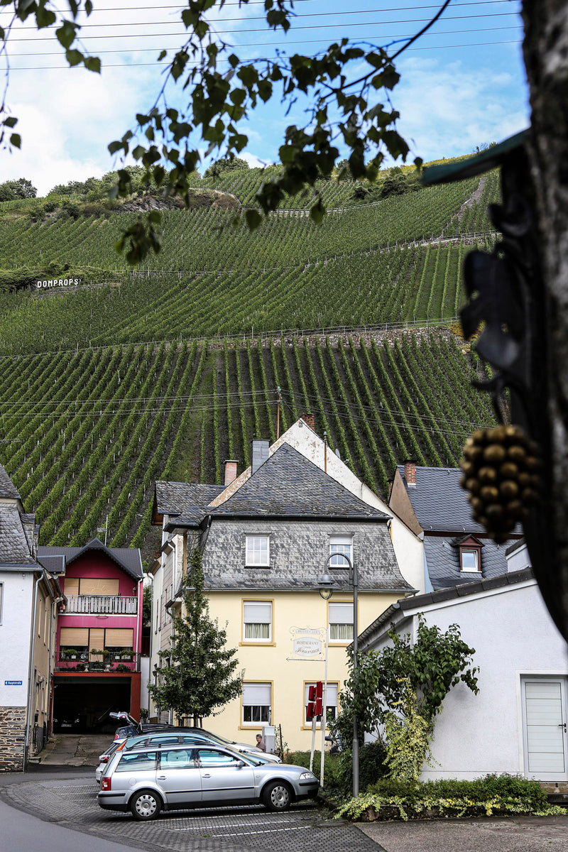 Blick auf die Weinlage Graacher Domprobst vom Weingut Willi Schäfer aus gesehen.