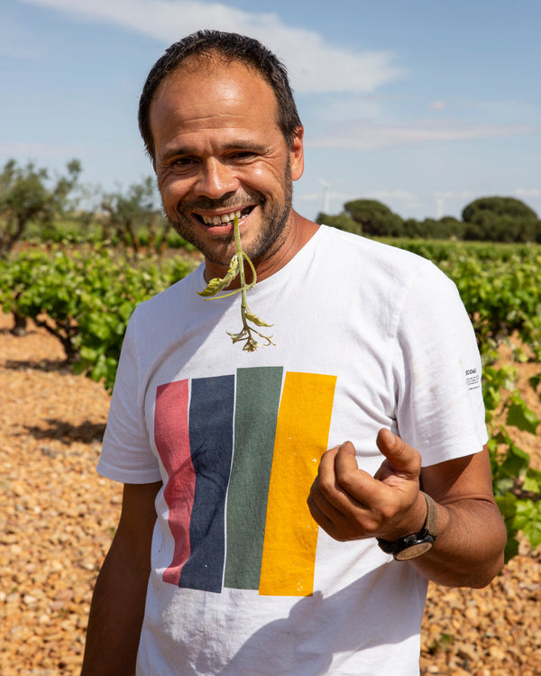 Schöne neue Weinwelt! Die Weine von Juan Antonio Ponce