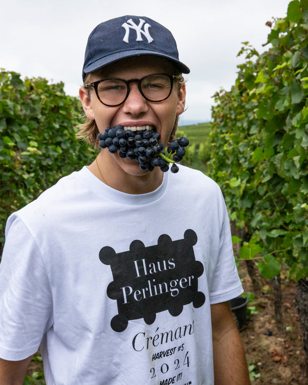 Meet the Team: Justus
