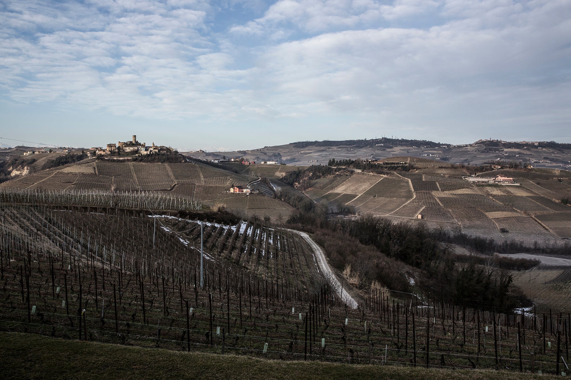 Blick auf Castiglione Falletto umgeben von den Weinbergen des Barolo-Gebiets im Piemont