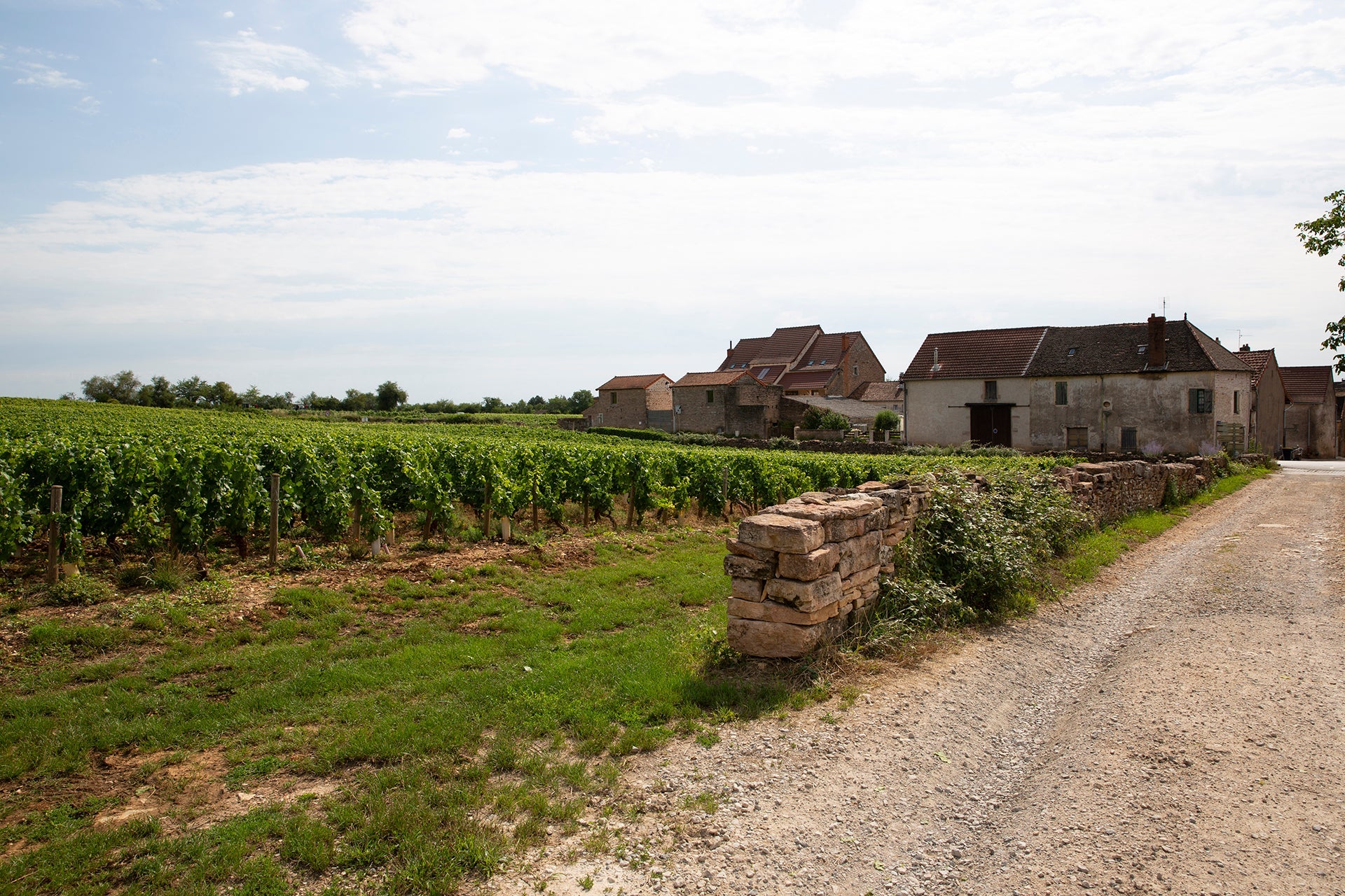 Blick auf das idyllische Dörfchen Givry im südlichen Burgund mit einem Clos der Domaine Mouton und Steinmauer im Vordergrund