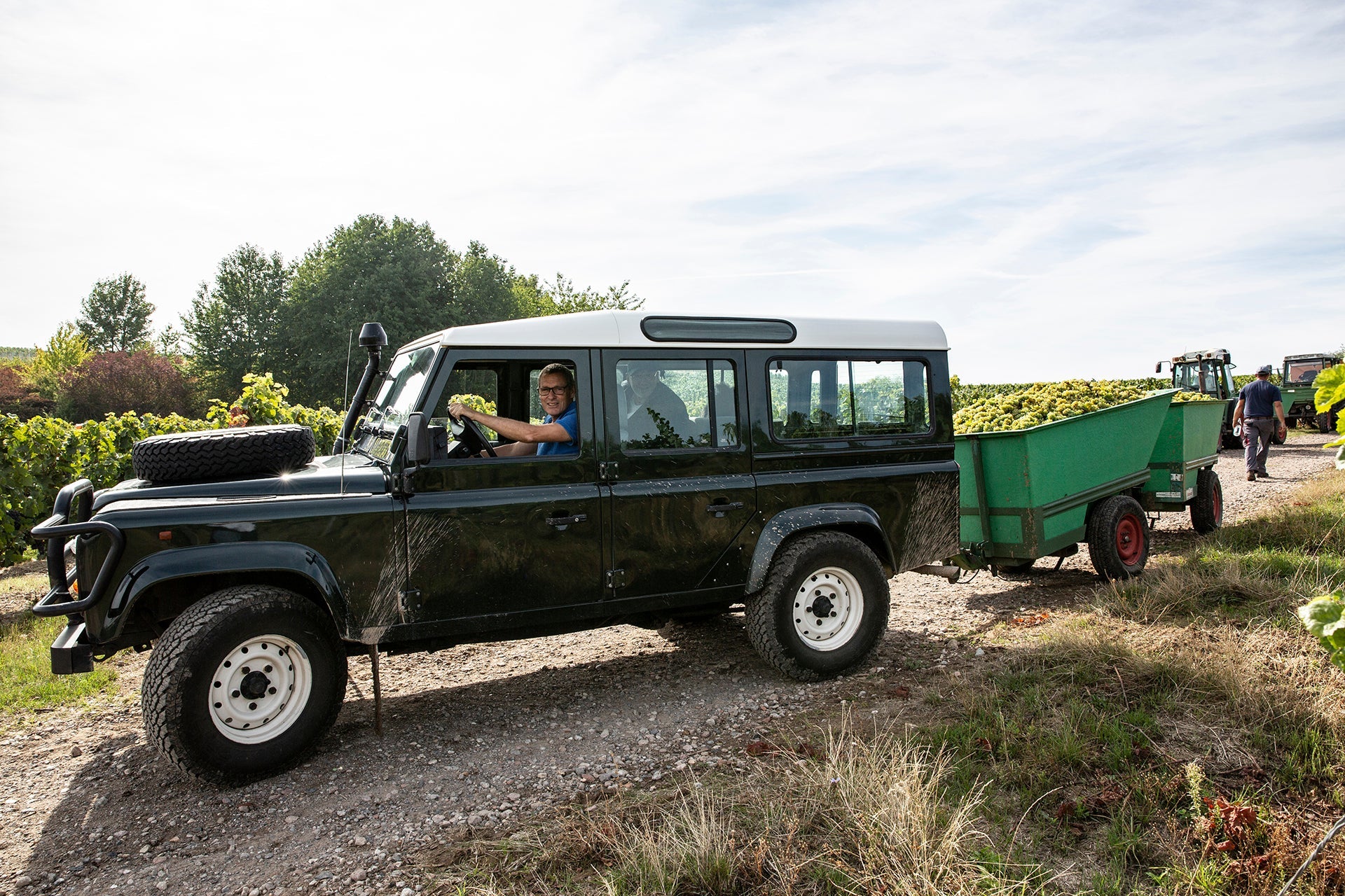 Daniel Wagner vom Weingut Wagner-Stempel bei der Ernte in Land Rover Defender mit Anhänger voll Weißburgunder-Trauben