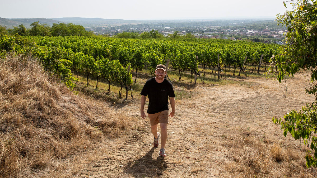 Weingut Hiedler