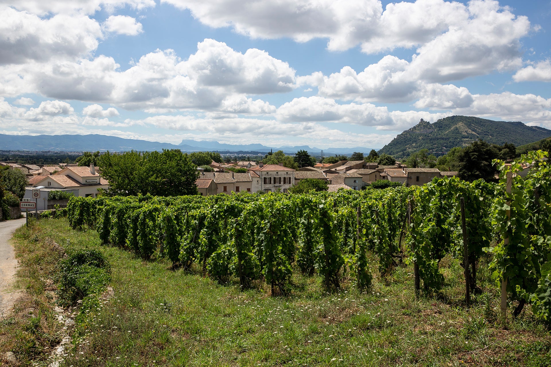 Schäfchenwolken über dem Dorf Cornas an der nördlichen Rhône mit Rebstöcken der Domaine Alain Voge