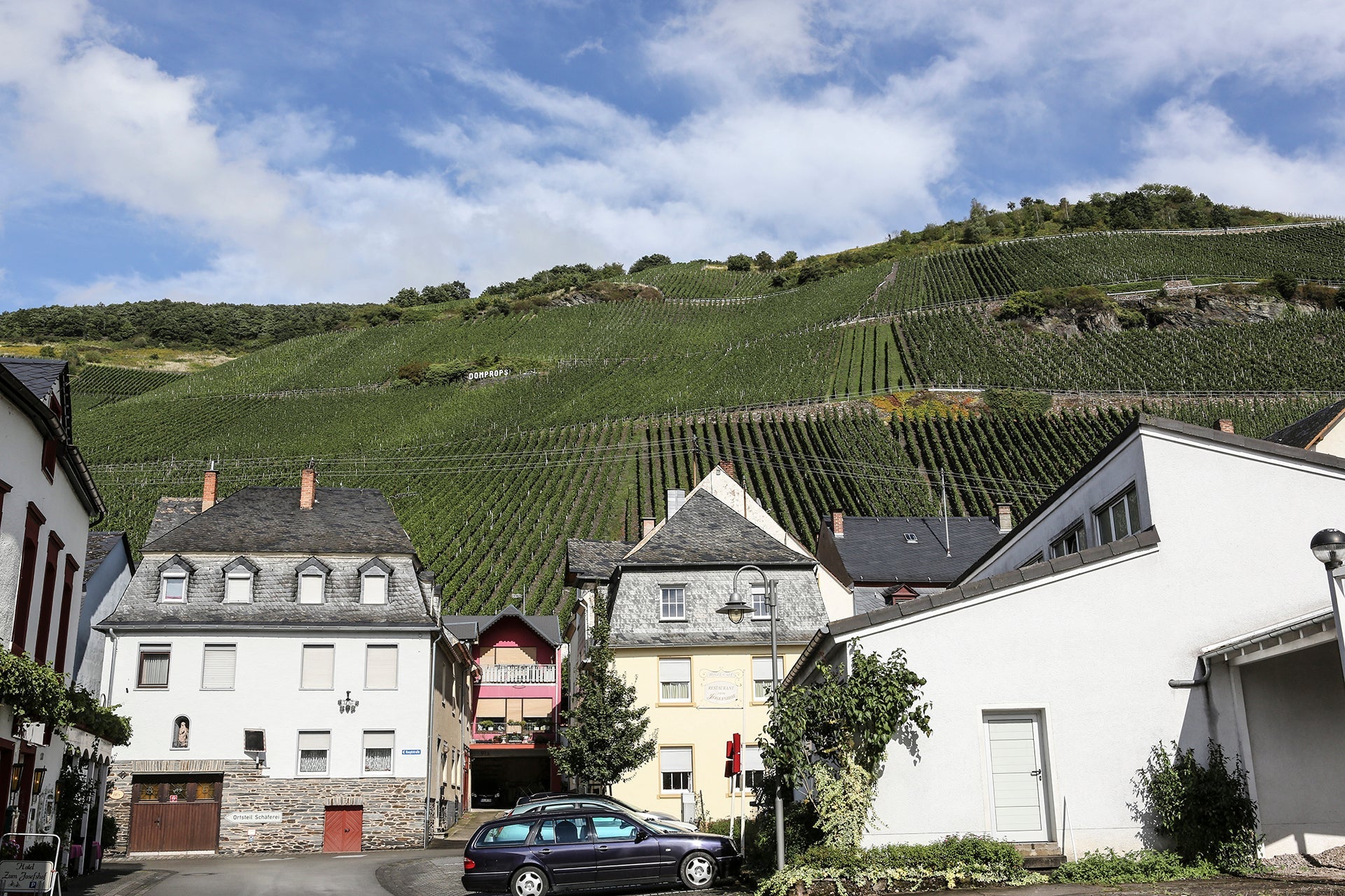 Blick von Bernkastel-Kues auf die Top-Lage Graacher Domprobst des Weinguts Willi Schaefer