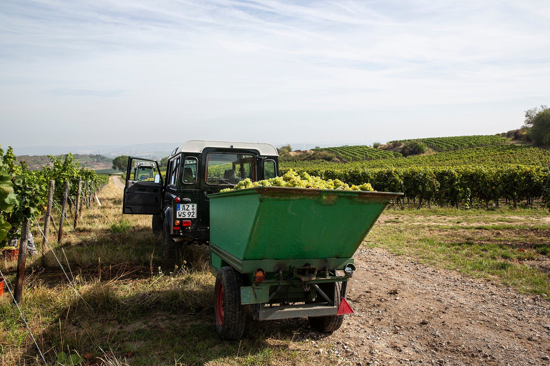 Rheinhessen