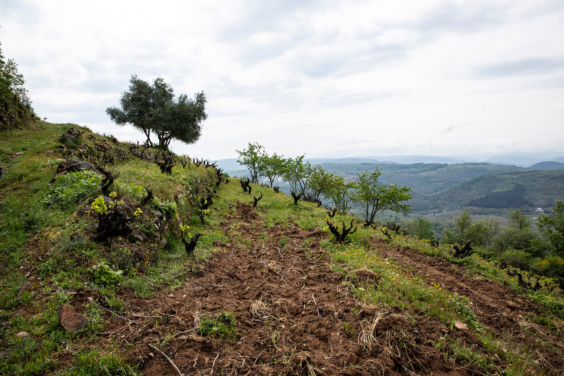 Sierra de Salamanca