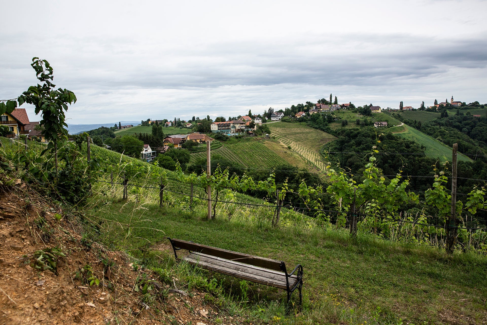 Idyllisches Bankerl vor Steillagen-Weinberg mit Schieferböden des Weinguts Schauer in Kitzeck-Sausal