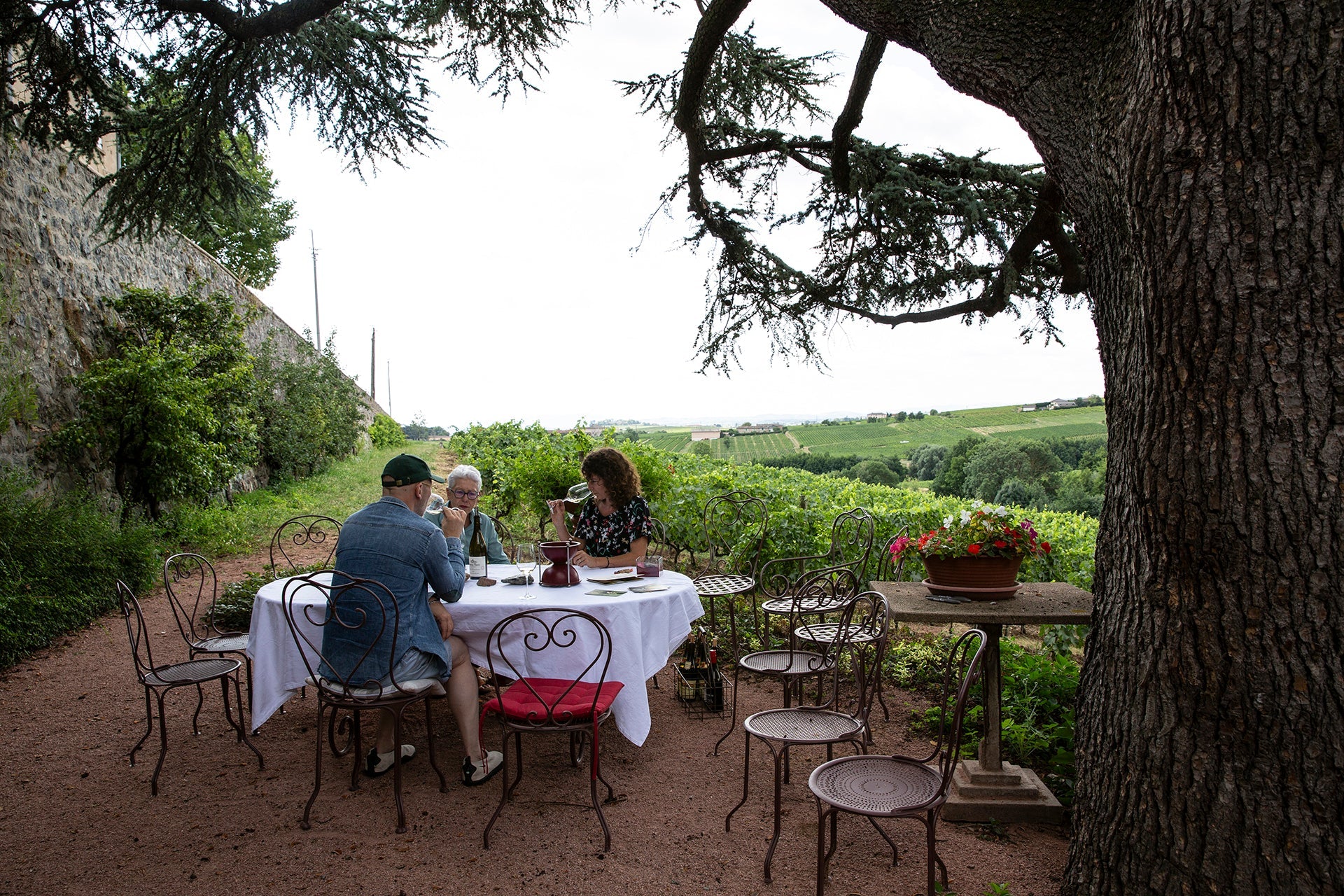 Weinverkostung unter schattigem Baum im Garten des Château Thivin im Anbaugebiet Côte de Brouilly 