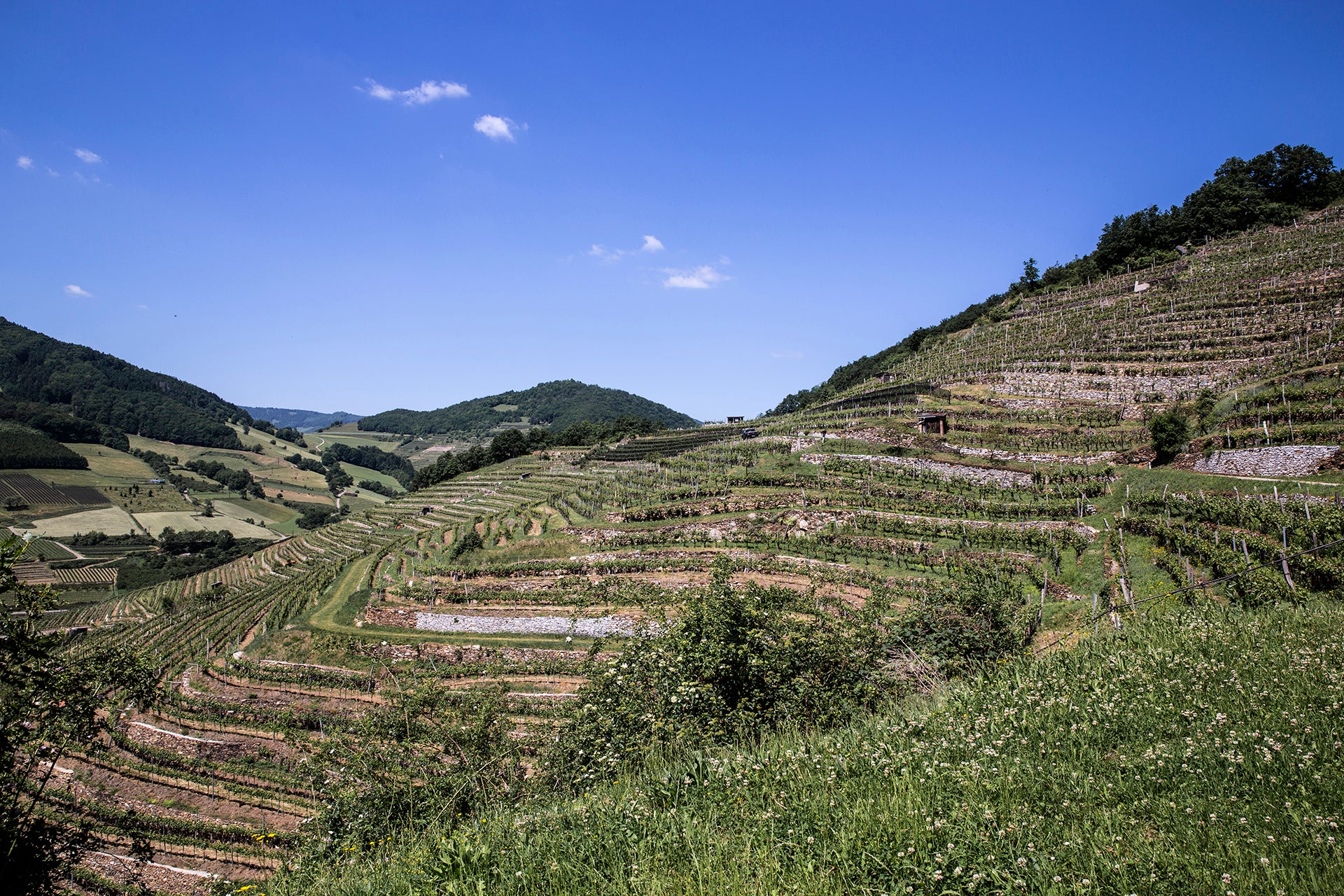 Wachau