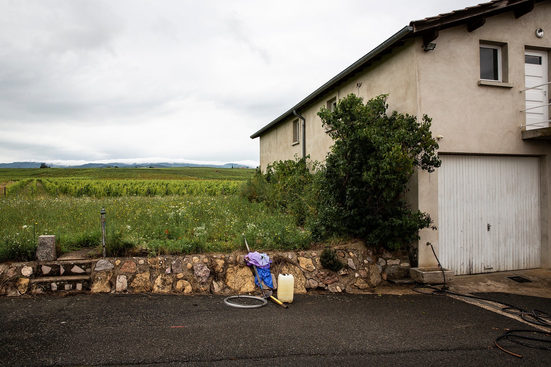 Inmitten von Weinbergen gelegenes Lager der Domaine Yohan Lardy mit Blumenwiese, Rebstöcken und Hügellandschaft im Beaujolais