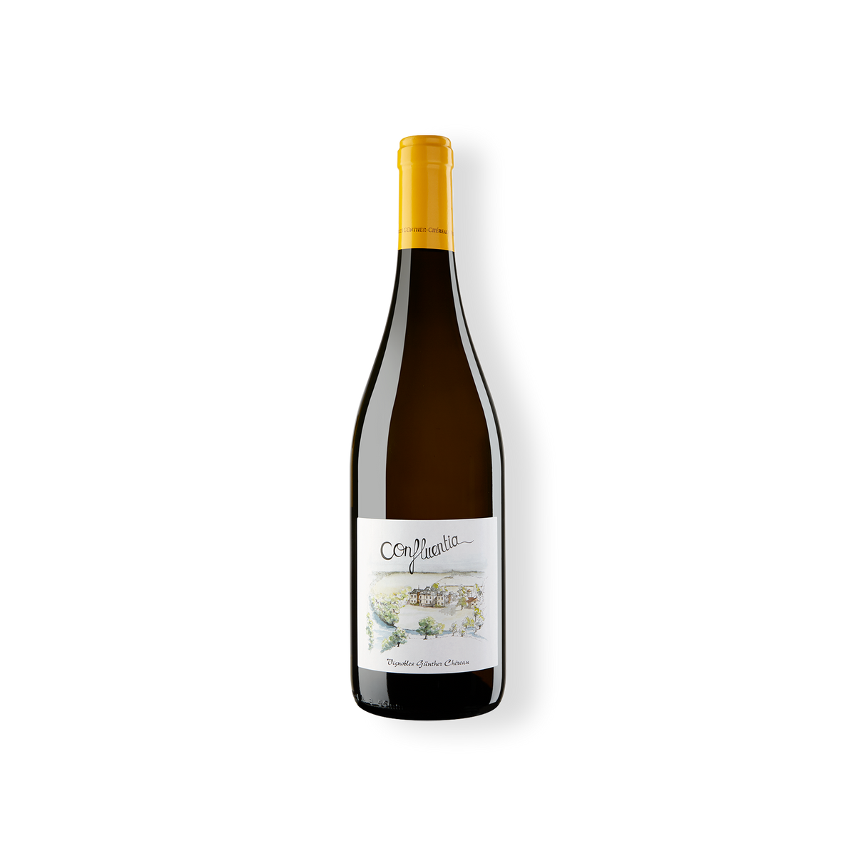 - Confluentia - Muscadet Sèvre et Maine Sur Lie AOP