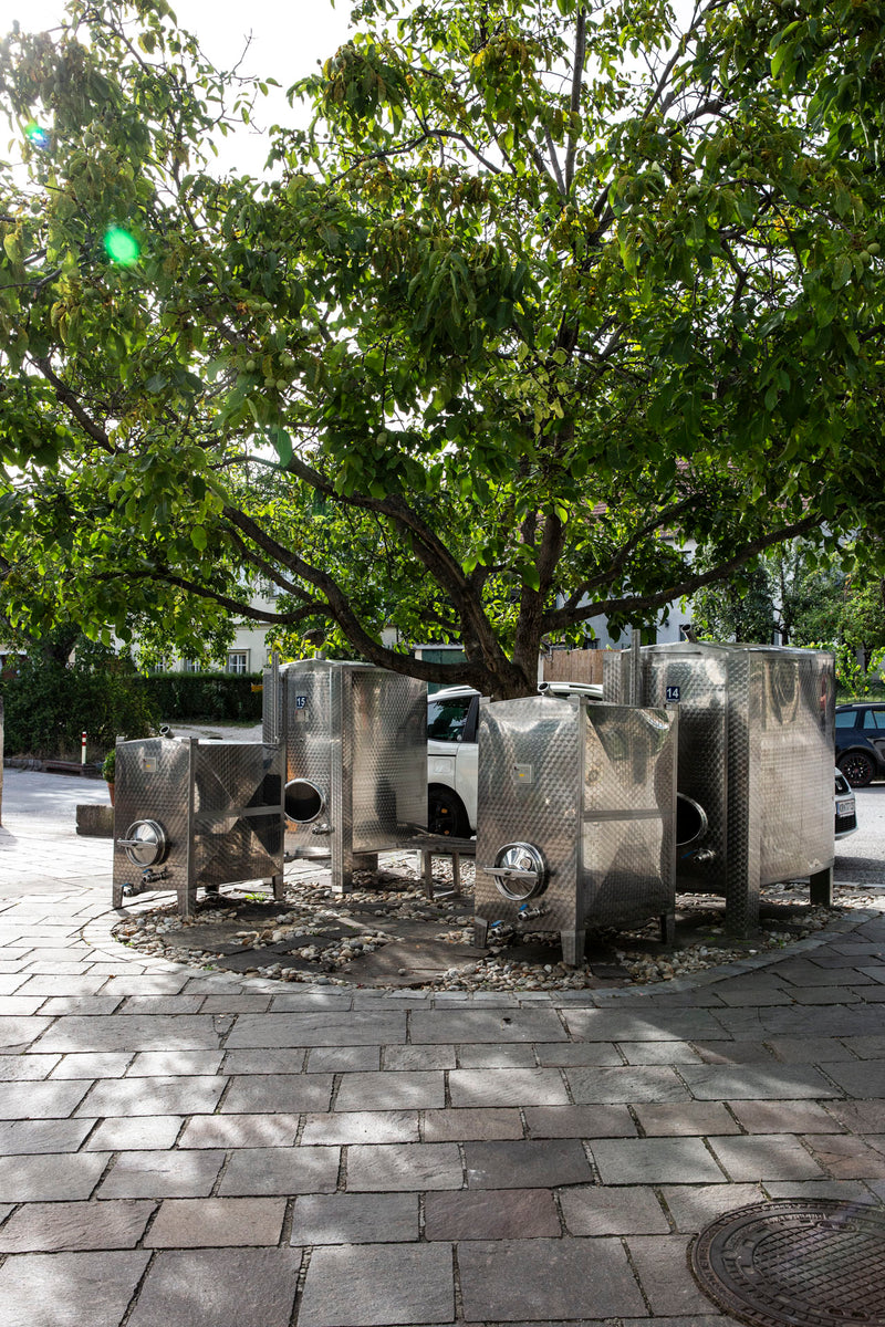 Edelstahltanks im Hof vor dem Weingut Hiedler unter einem Baum.