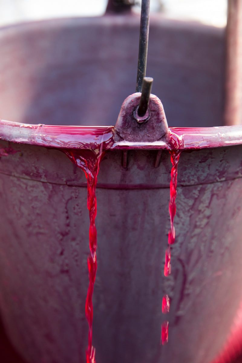 Leuchtend roter Wein fließt über den Rand eines Eimers.