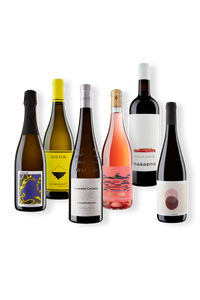 Foto eines Weinpakets mit 6 Flaschen Wein, der vom Team von walter&sohn für den Genuss im Frühling empfohlen wird.
