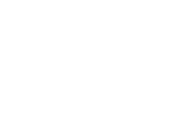 Logo der Marke Haus Perlinger