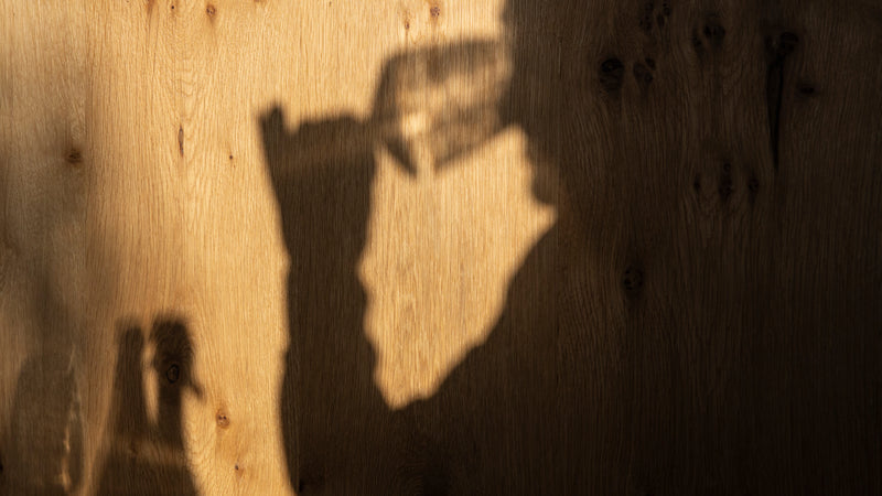 Foto des Schattens einer Person beim Verkosten von Wein