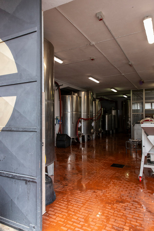 Foto des Weinkellers der Cantina Produttori Nebbiolo di Carema