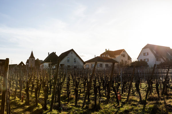Häuser in Hunawihr im dramatischen Lichtspiel der untergehenden Sonne im Winter.