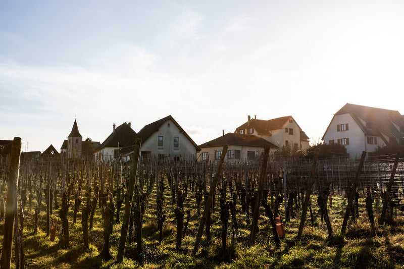 Häuser in Hunawihr im dramatischen Lichtspiel der untergehenden Sonne im Winter.
