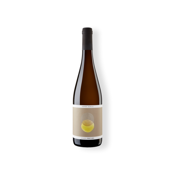 Flasche Weißwein, Pinot Gris Alsace sec AOP vom Weingut Vins Schaal