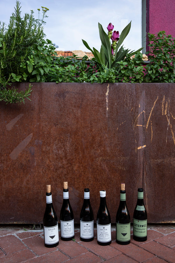 Verschiedene Weinflaschen vom Weingut Kolfok vor einer rostigen Eisenwand aus der oben Blumen wachsen. Das Bild ist in schönen weinrot- und Grüntönen gehalten.