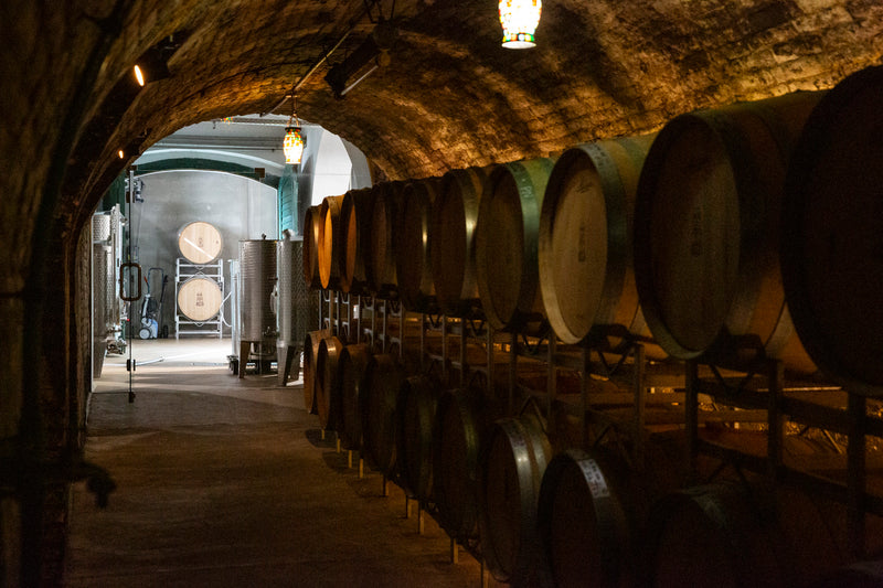 Aufnahme vom Holzfasskeller des Weingut Hiedler.